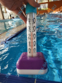 Термометр плавающий для бассейна Kokido Evolution Jumbo, артикул К608