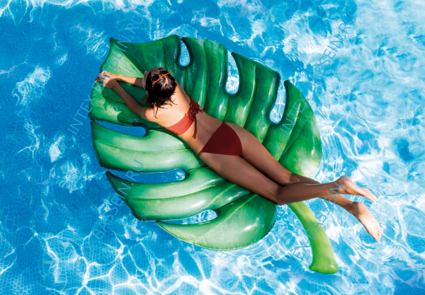 Матрас INTEX "Пальмовый лист" 213 x 142 см, артикул 58782